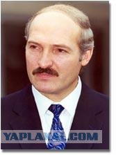 Из-за занавески