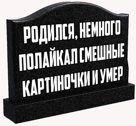 Прикольные картинки из сети