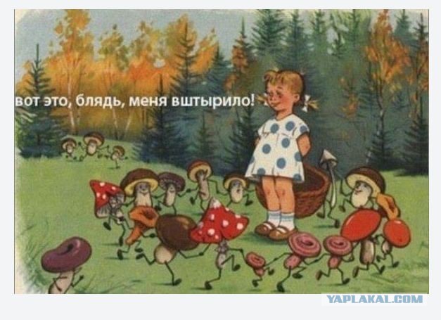 Когда кто-то плюсует твой заминусованый пост
