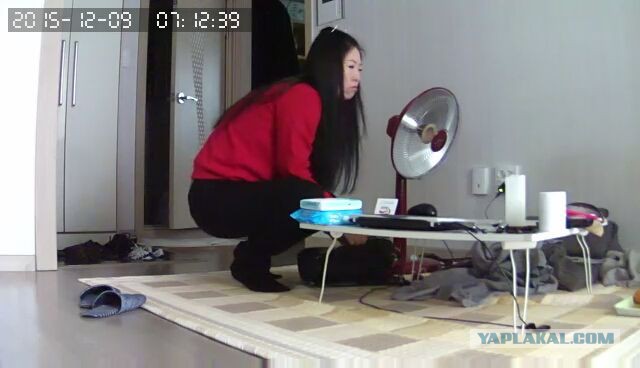 За что я люблю китайцев