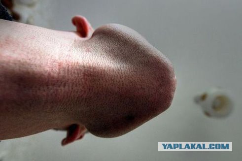 Украина потребовала вернуть ей буровые вышки