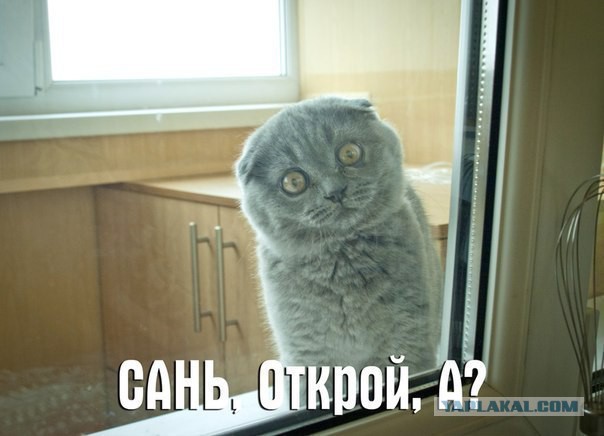Картинки на пятницу