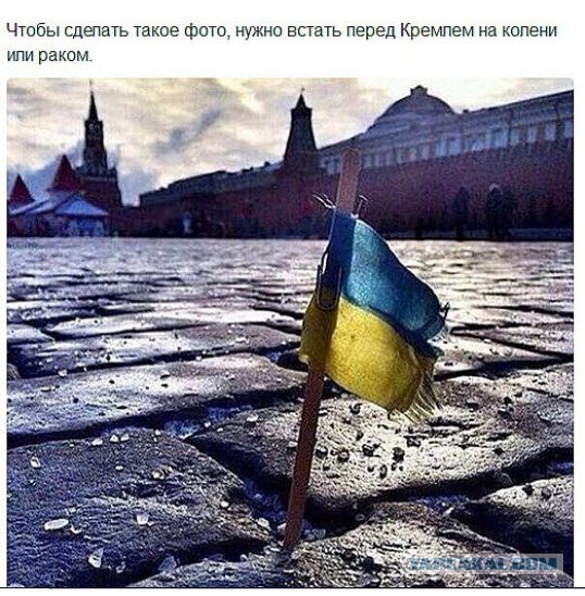 Смешные комментарии из социальных сетей 12.02.2016