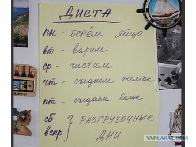 Ужасы и приколы из соцсетей
