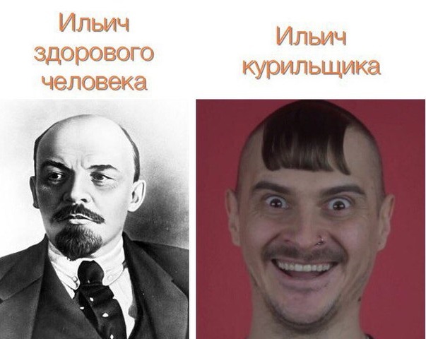 Правдивые факты, о которых мы не знали