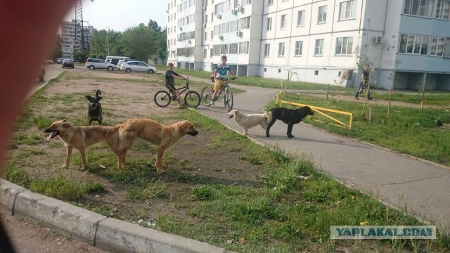 Подборка интересных и веселых картинок