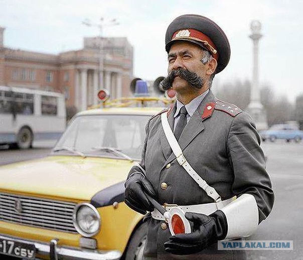 Кого только не встретишь по дороге домой