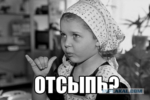 Они уже здесь