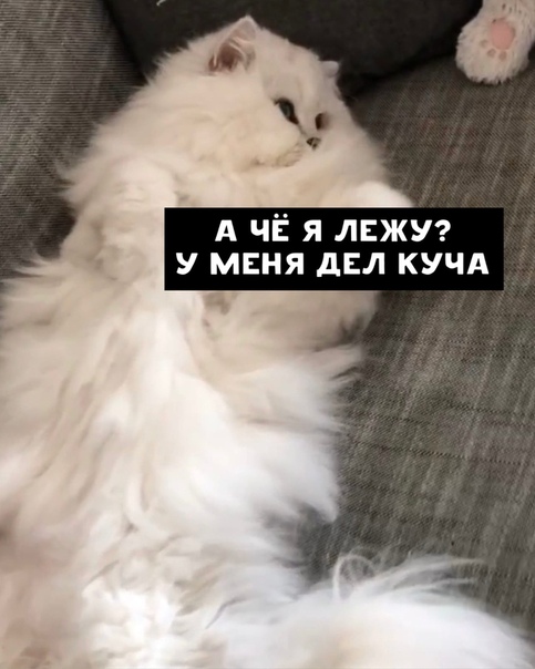 Пара-пара-пам! Фьють. Картинки с надписями.