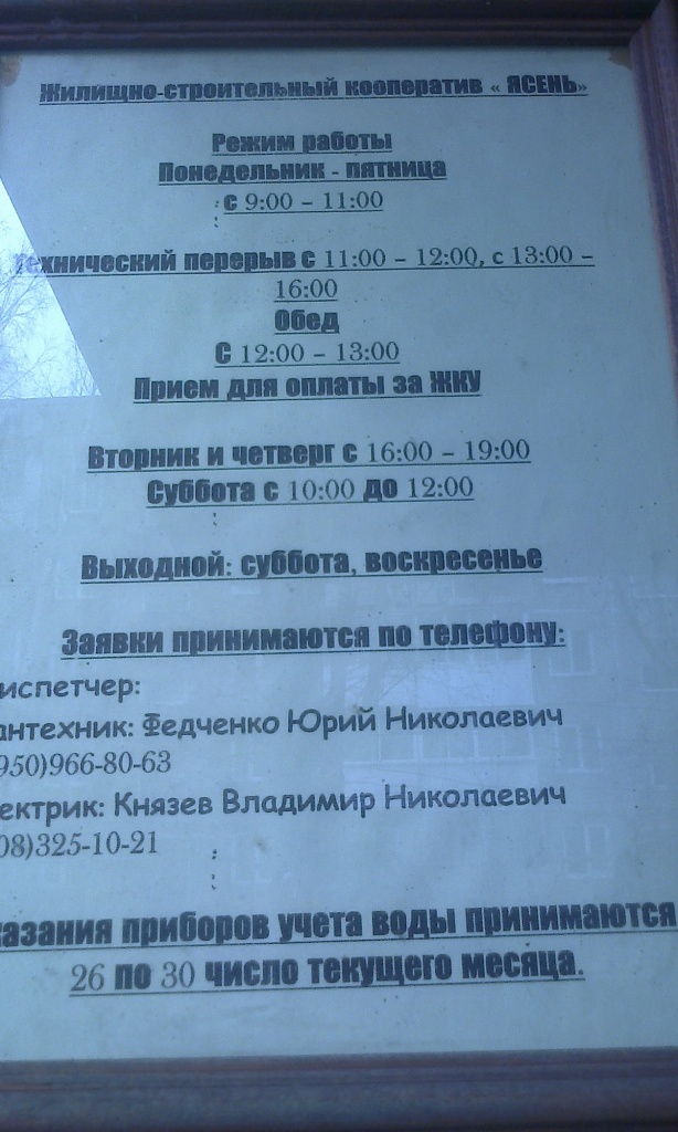А какое у вас последнее фото на телефоне?