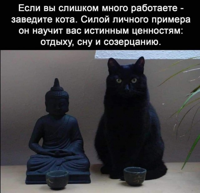 Немного картинок для настроения 04.10.20