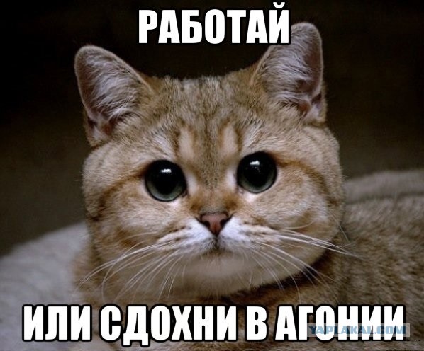 В России предложили продлить новогодние каникулы на две недели