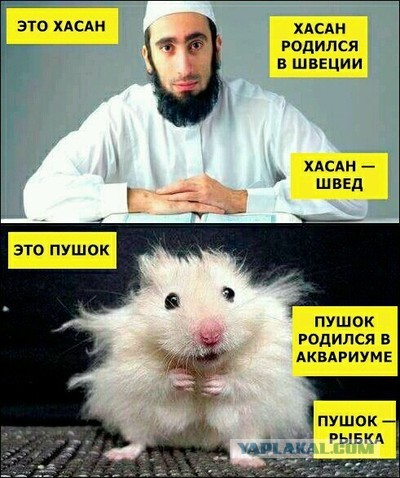 “Мафия Нью-Йорка. Русская мафия и бензин"