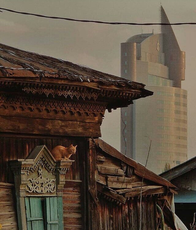 Уличные котаны