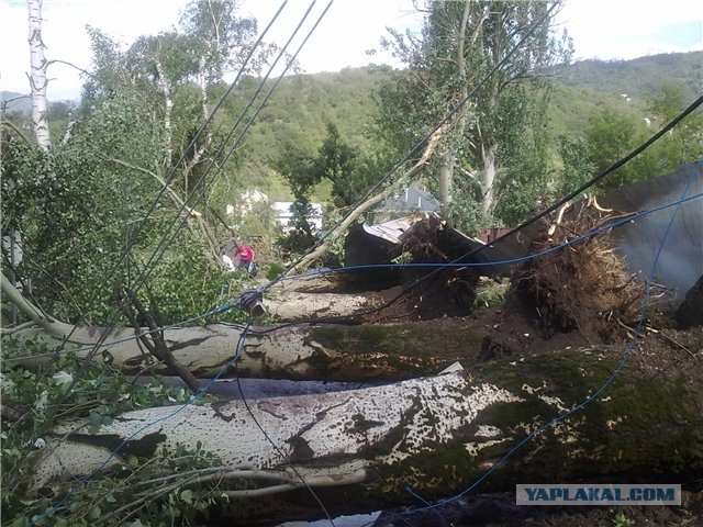 Дождем в Харькове смыло женщину