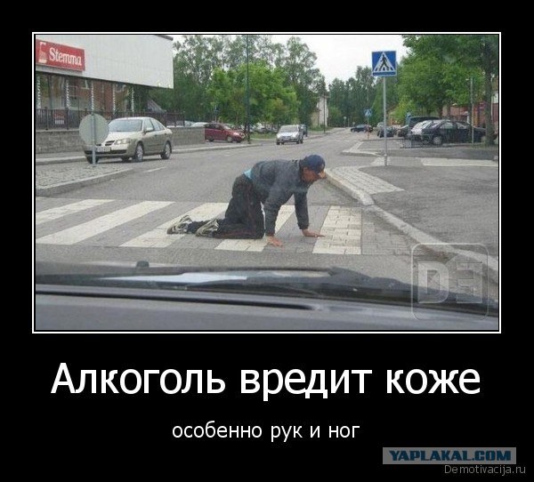 Собака переходит дорогу...