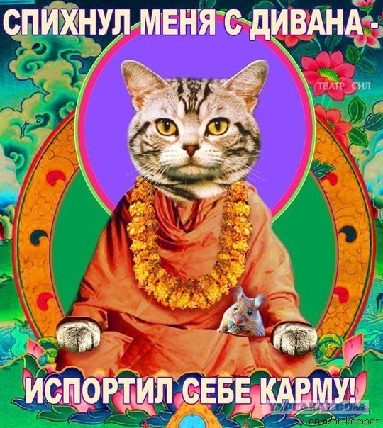 Уставший котэ......