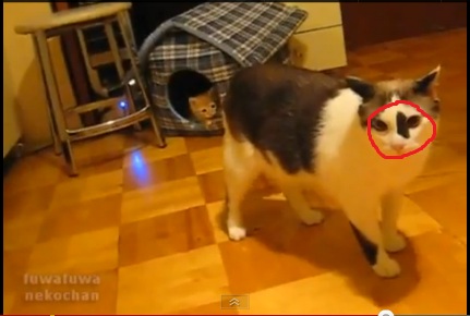 Внук покушается на дом деда