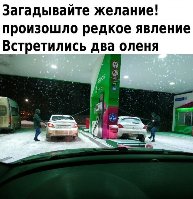 Фотки и картинки с текстом: юморные и красивые, забавные и милые 02.07.21