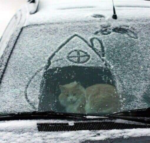 Норвежский король
