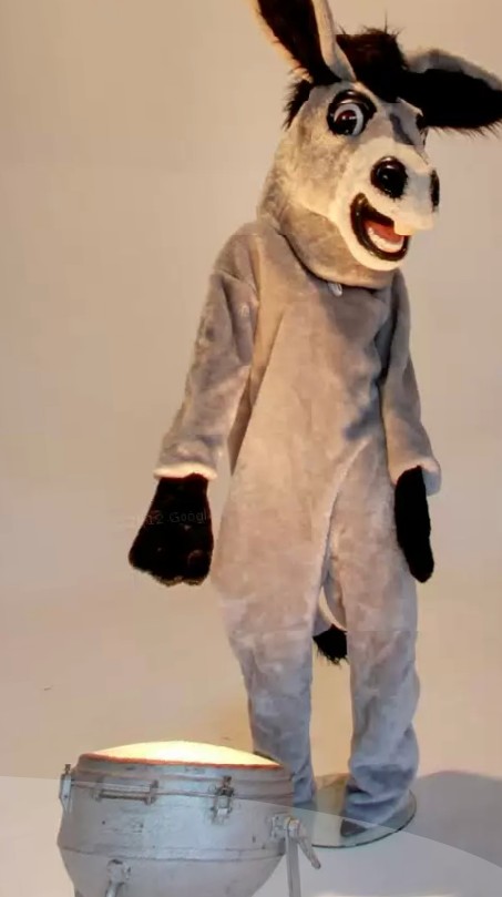 Потайная дверца...