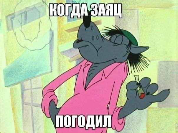 "Ну, погоди!" Волк замочил зайца