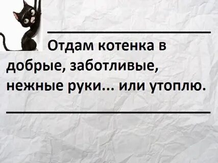 Отдам блондина в хорошие руки