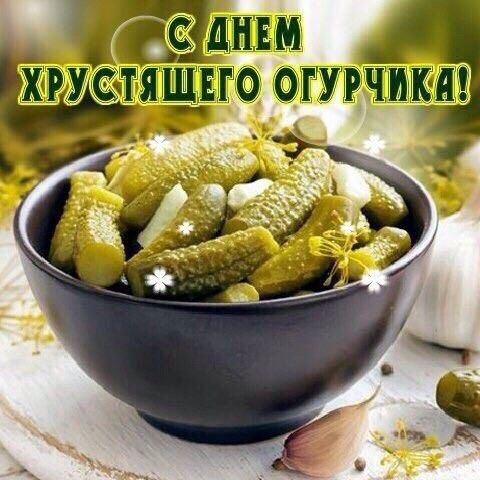 Сегодня отмечается Международный день защиты мужской нервной системы от насилия со стороны женщин!