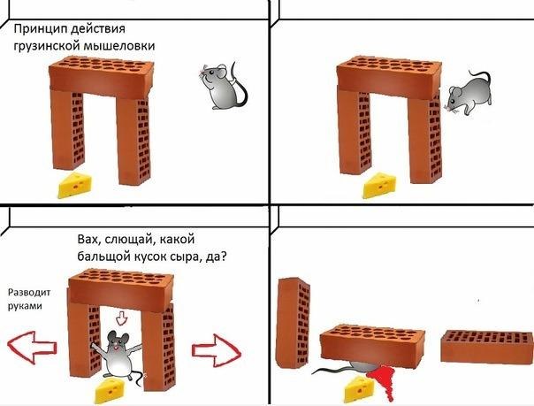 Убить мышь нетрадиционно