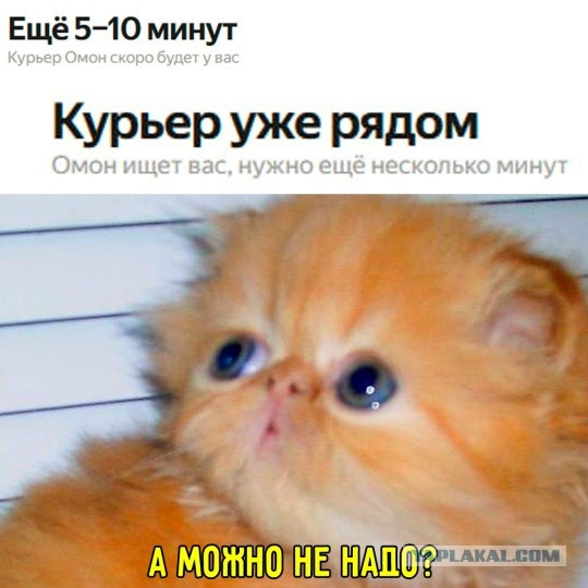 Пятничные картинки