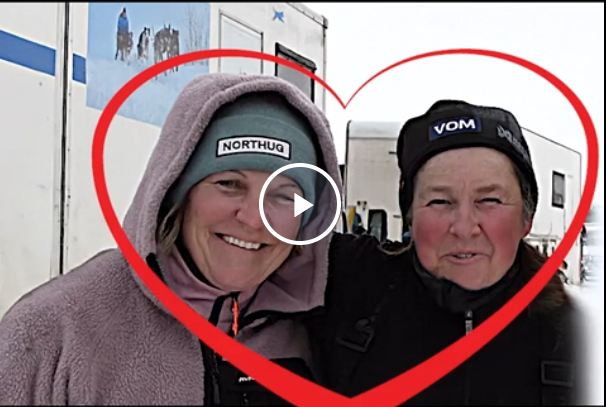 Собаки - нетормозяки