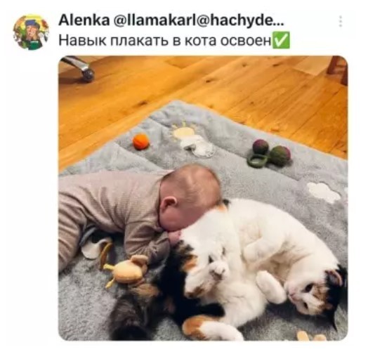 Так себе картинки 04.07.26