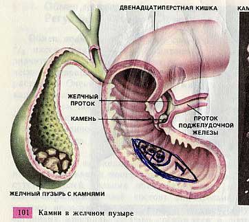 Разрисованные учебники (150 рисунков)