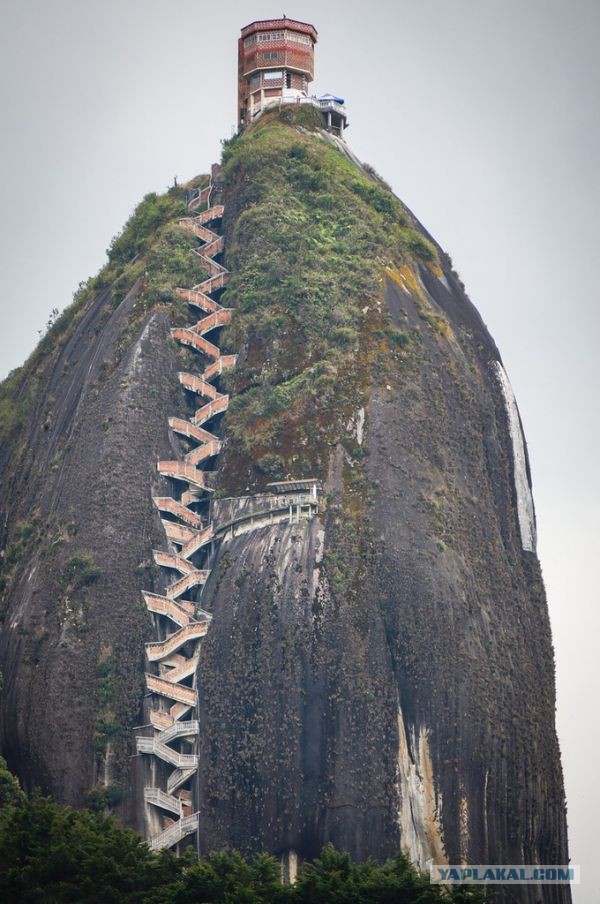 Весёлые картинки. Разбавим будни