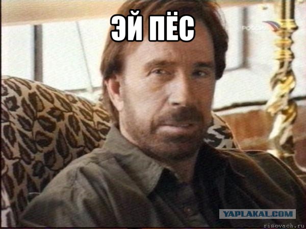 Есть еще порох в пороховницах! Неудержимые-3