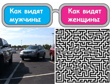 Разные точки зрения