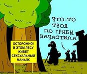 Жена убежала на пару часов в лес