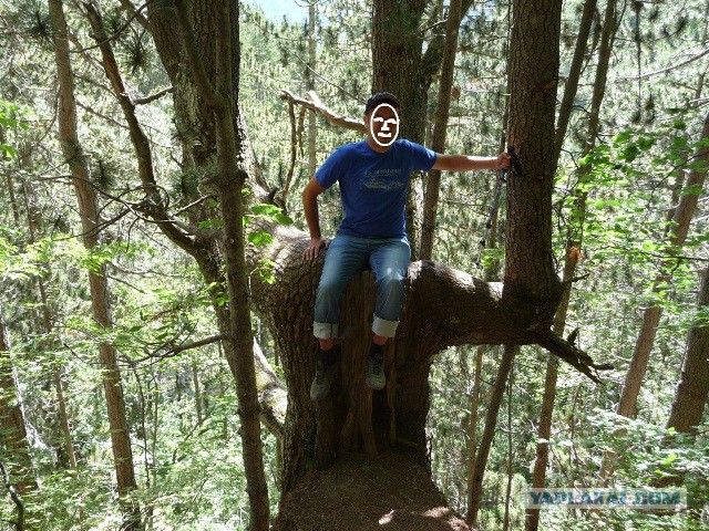 Раскоряка 18+