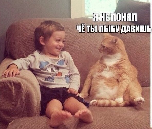 Немного картинок и юмора