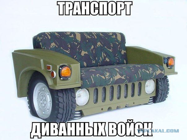 Диванные войска в деле