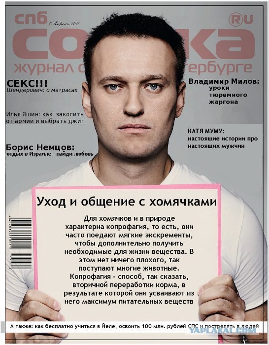 НТВ и передача "Анатомия Протеста"