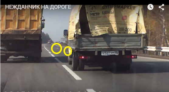 Нежданчик на дороге
