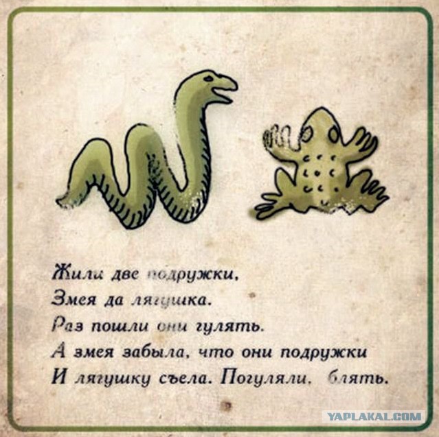 Тигр Амур все-таки съел козла Тимура...