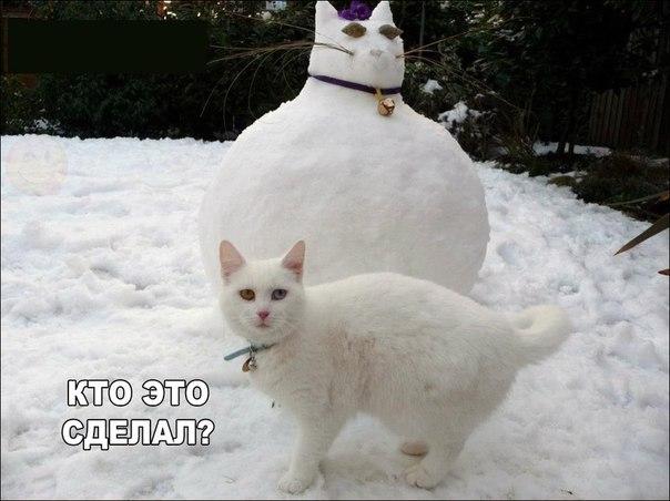 Разные картинки