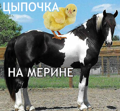 Необычные фотки