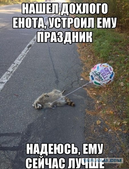 Абсурдный юмор ч.7