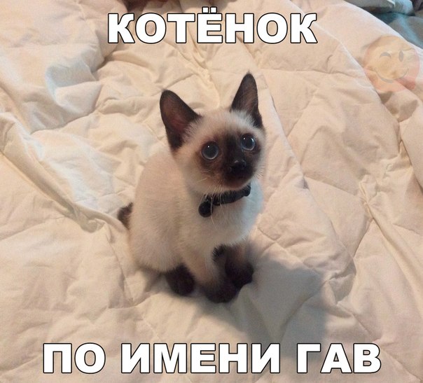 Подборка картинок 17.02.16