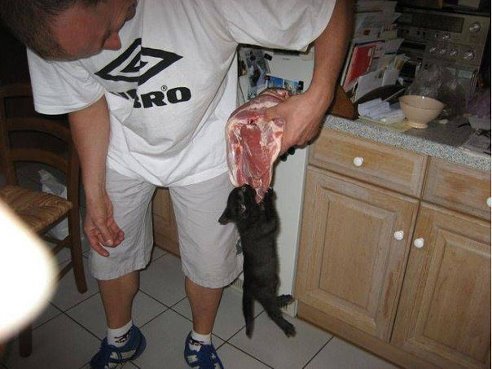 Воришки
