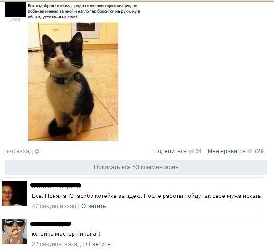 Ужасы и приколы из соцсетей 18+