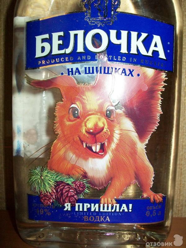 Смотрел кино заснул. Проснулся на груди что-то сидит!